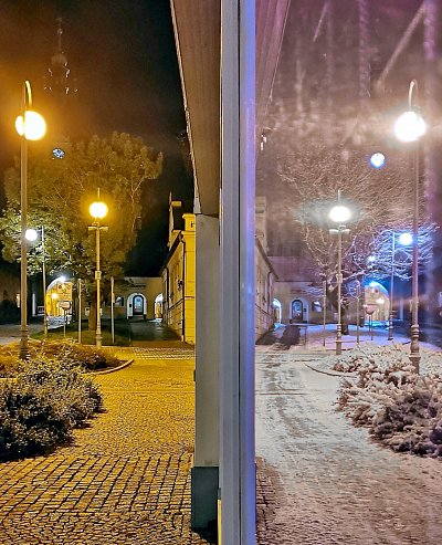 a summer/winter shop window reflection